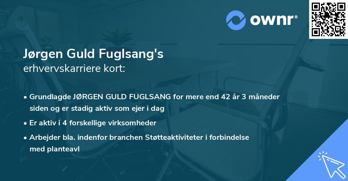 Jørgen Guld Fuglsang's erhvervskarriere kort