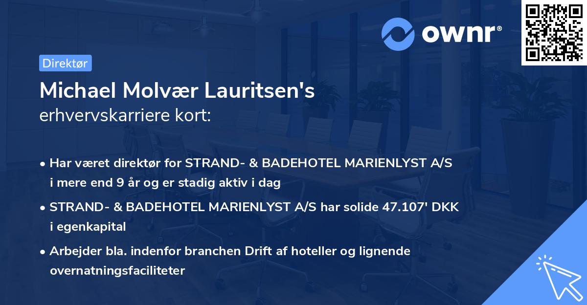 Michael Molvær Lauritsen's erhvervskarriere kort