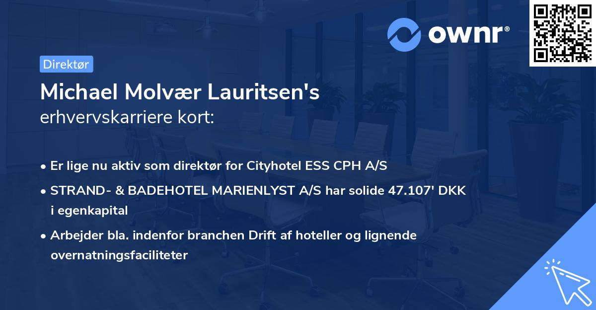 Michael Molvær Lauritsen's erhvervskarriere kort
