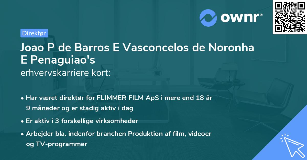 Joao P de Barros E Vasconcelos de Noronha E Penaguiao's erhvervskarriere kort
