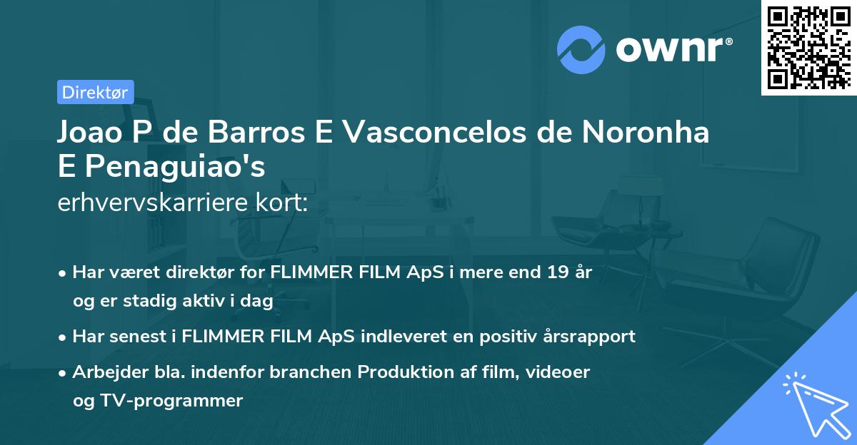 Joao P de Barros E Vasconcelos de Noronha E Penaguiao's erhvervskarriere kort