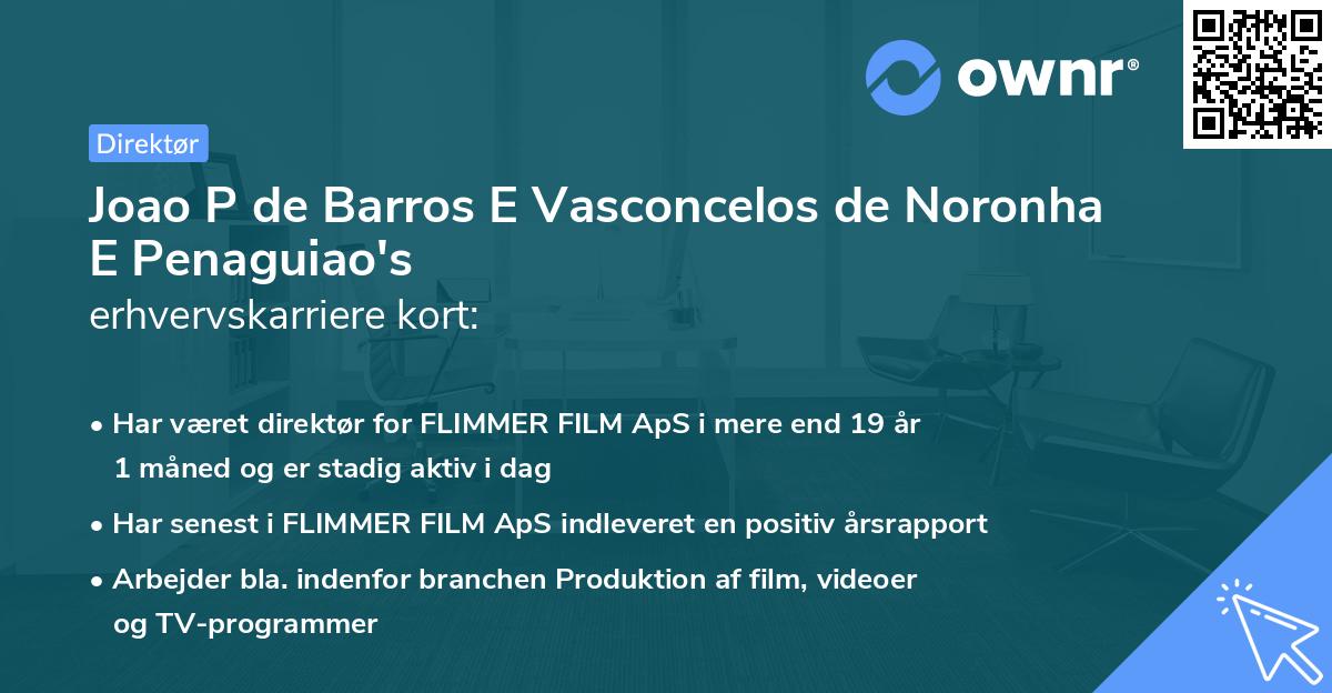 Joao P de Barros E Vasconcelos de Noronha E Penaguiao's erhvervskarriere kort