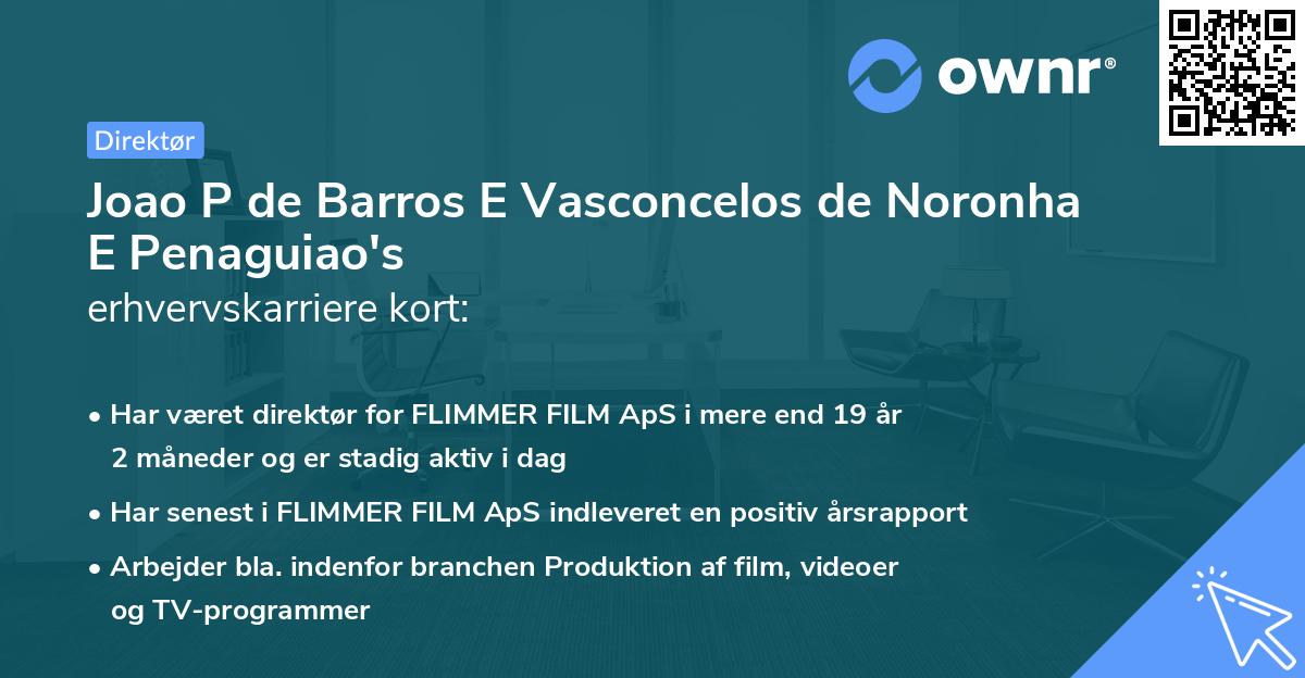 Joao P de Barros E Vasconcelos de Noronha E Penaguiao's erhvervskarriere kort