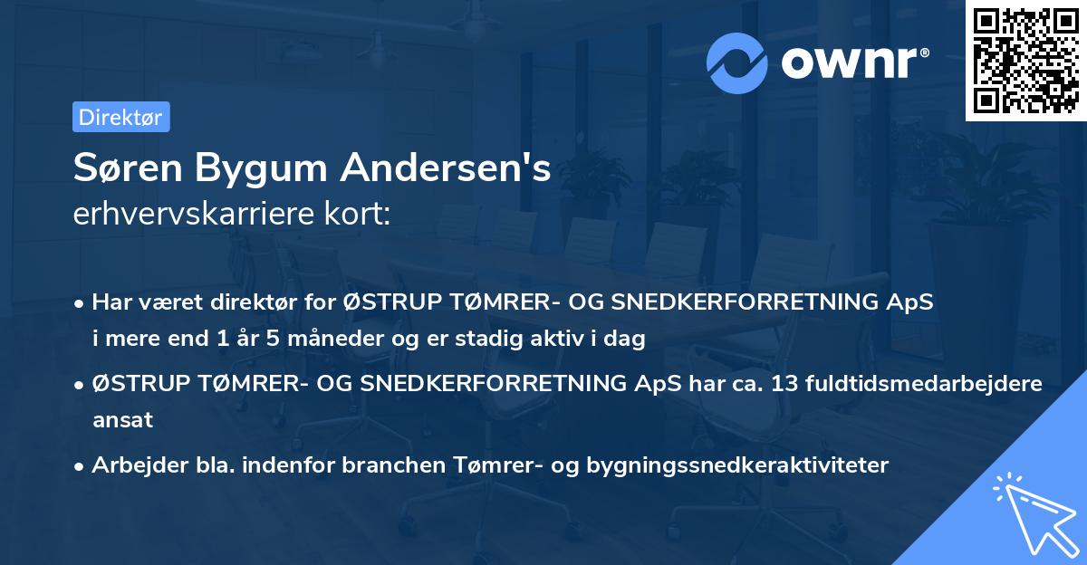 Søren Bygum Andersen's erhvervskarriere kort