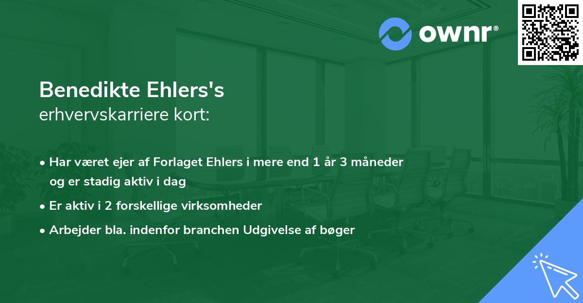 Benedikte Ehlers's erhvervskarriere kort