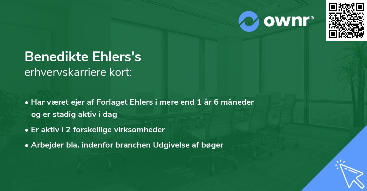 Benedikte Ehlers's erhvervskarriere kort