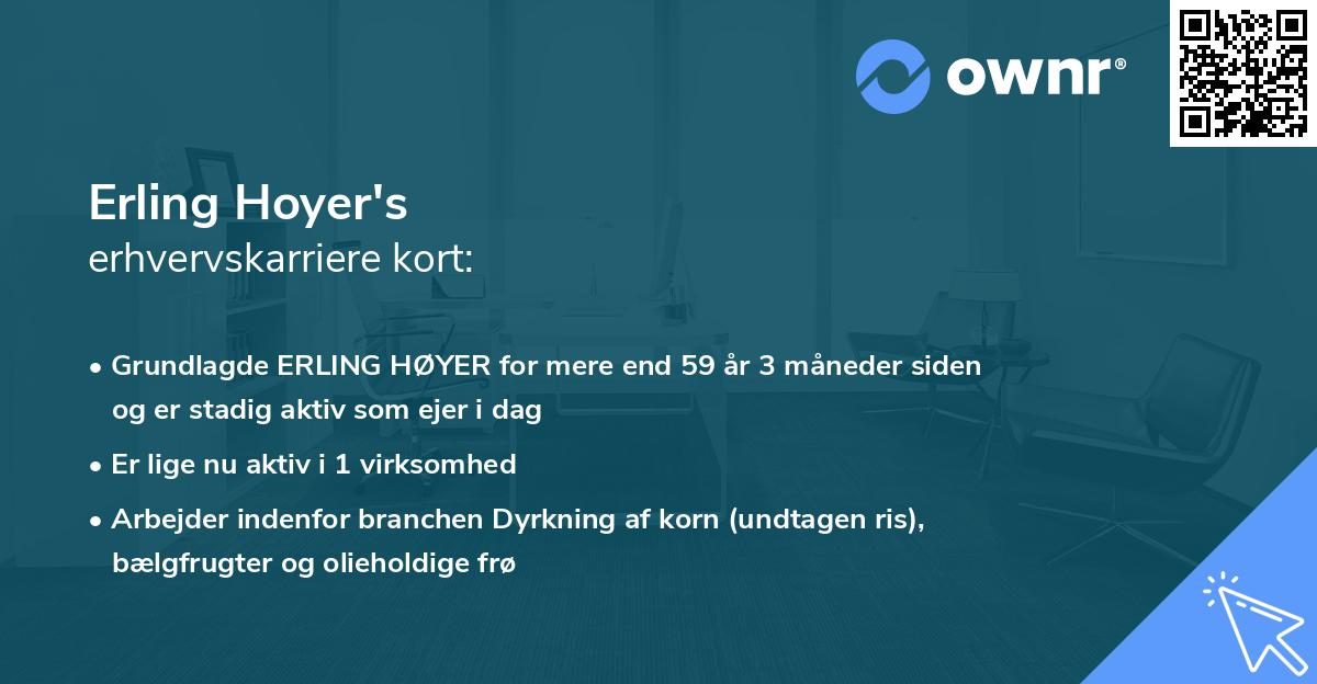 Erling Hoyer's erhvervskarriere kort