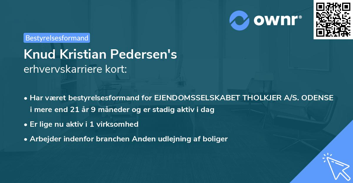 Knud Kristian Pedersen's erhvervskarriere kort