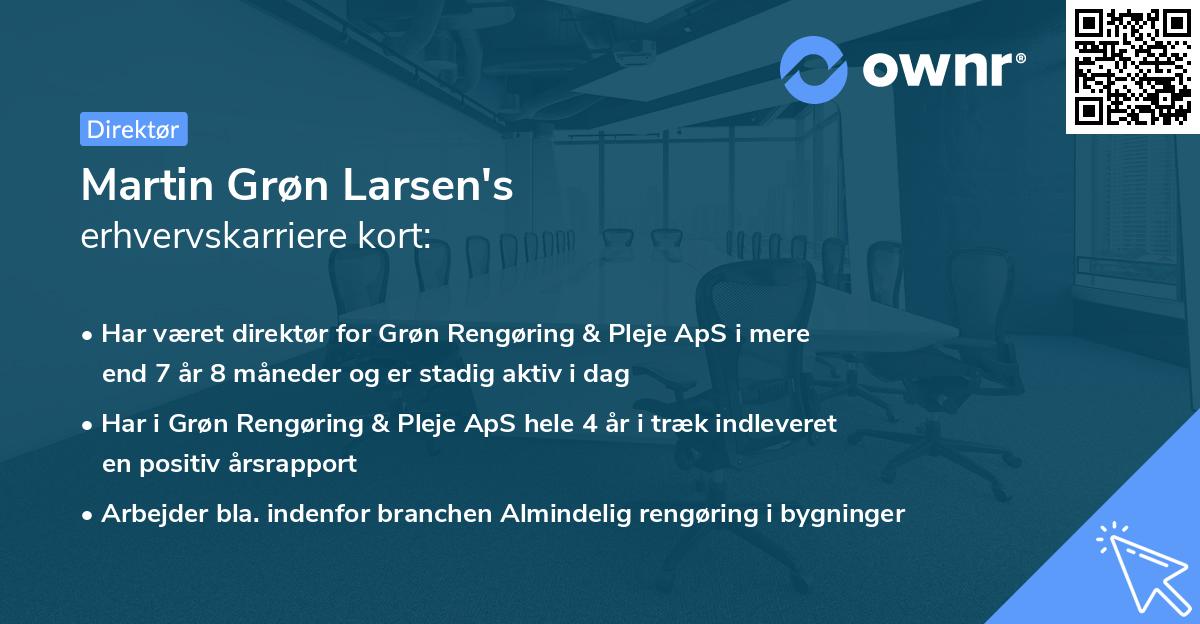 Martin Grøn Larsen's erhvervskarriere kort