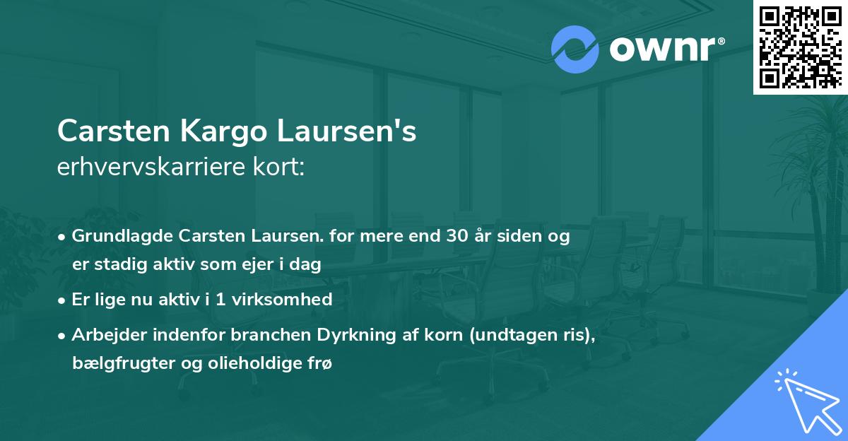 Carsten Kargo Laursen's erhvervskarriere kort