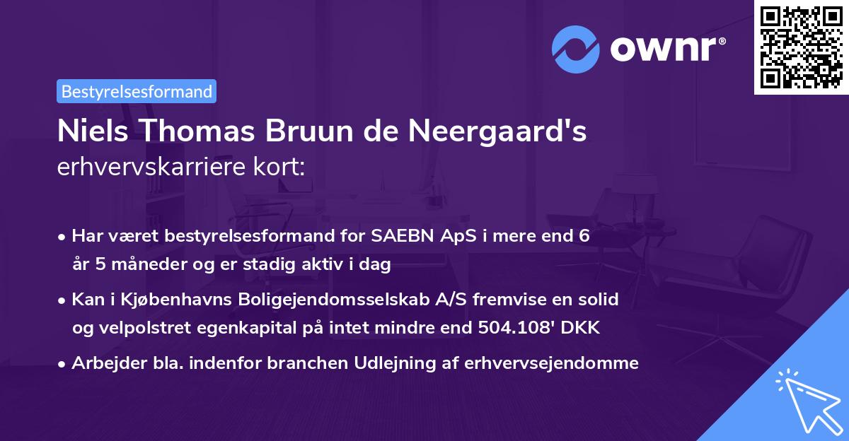 Niels Thomas Bruun de Neergaard's erhvervskarriere kort