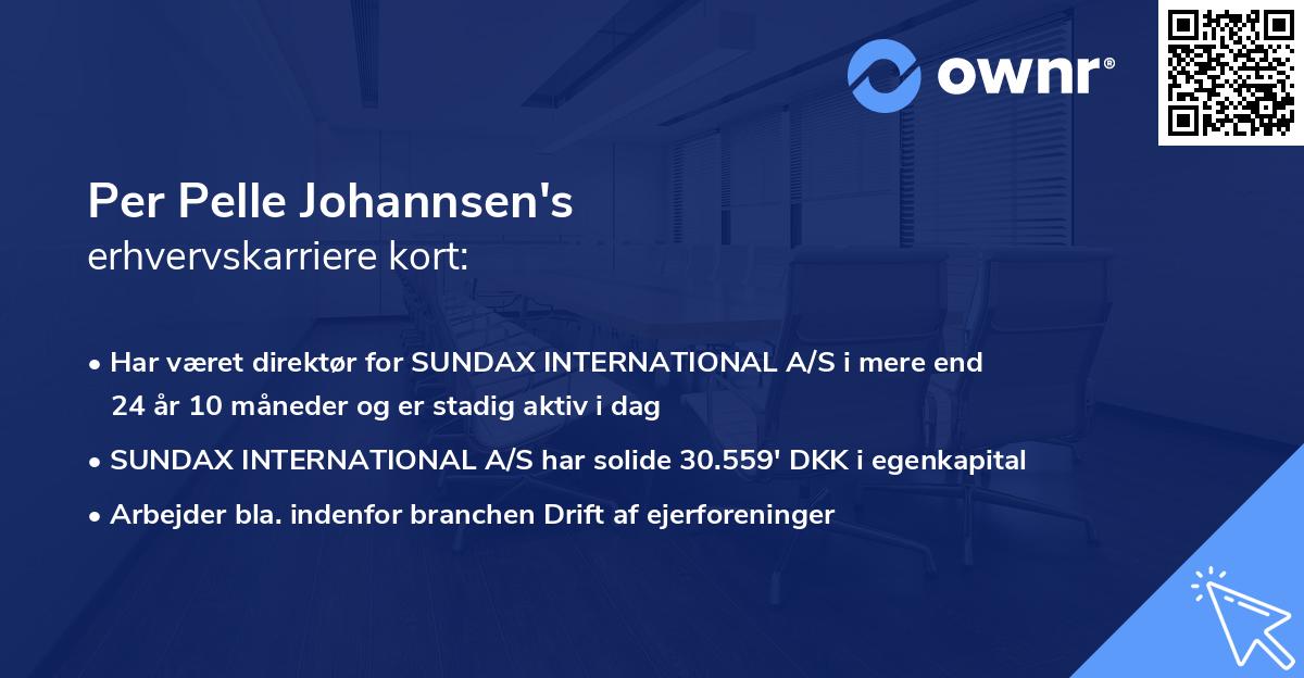 Per Pelle Johannsen's erhvervskarriere kort