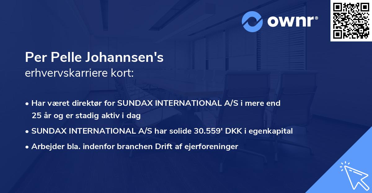 Per Pelle Johannsen's erhvervskarriere kort