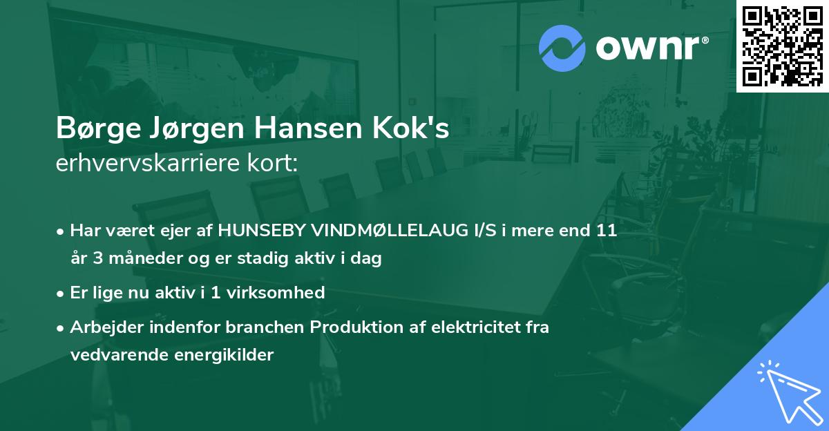 Børge Jørgen Hansen Kok's erhvervskarriere kort