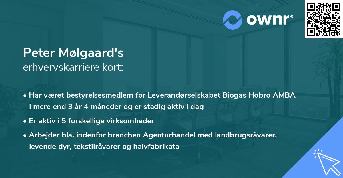 Peter Mølgaard's erhvervskarriere kort