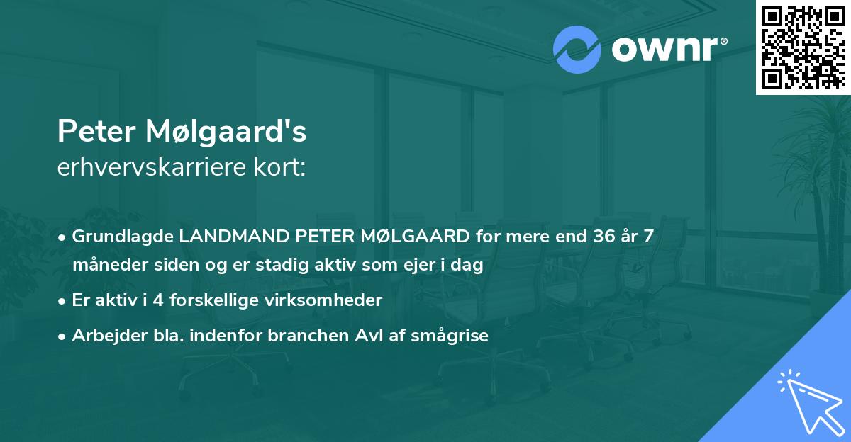 Peter Mølgaard's erhvervskarriere kort