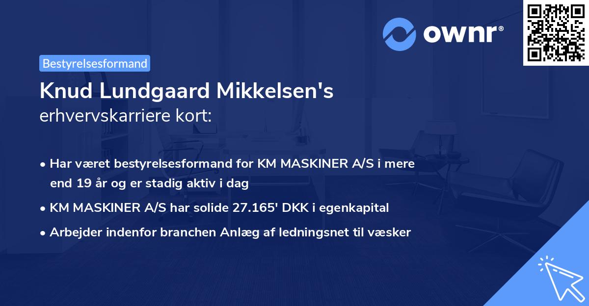 Knud Lundgaard Mikkelsen's erhvervskarriere kort