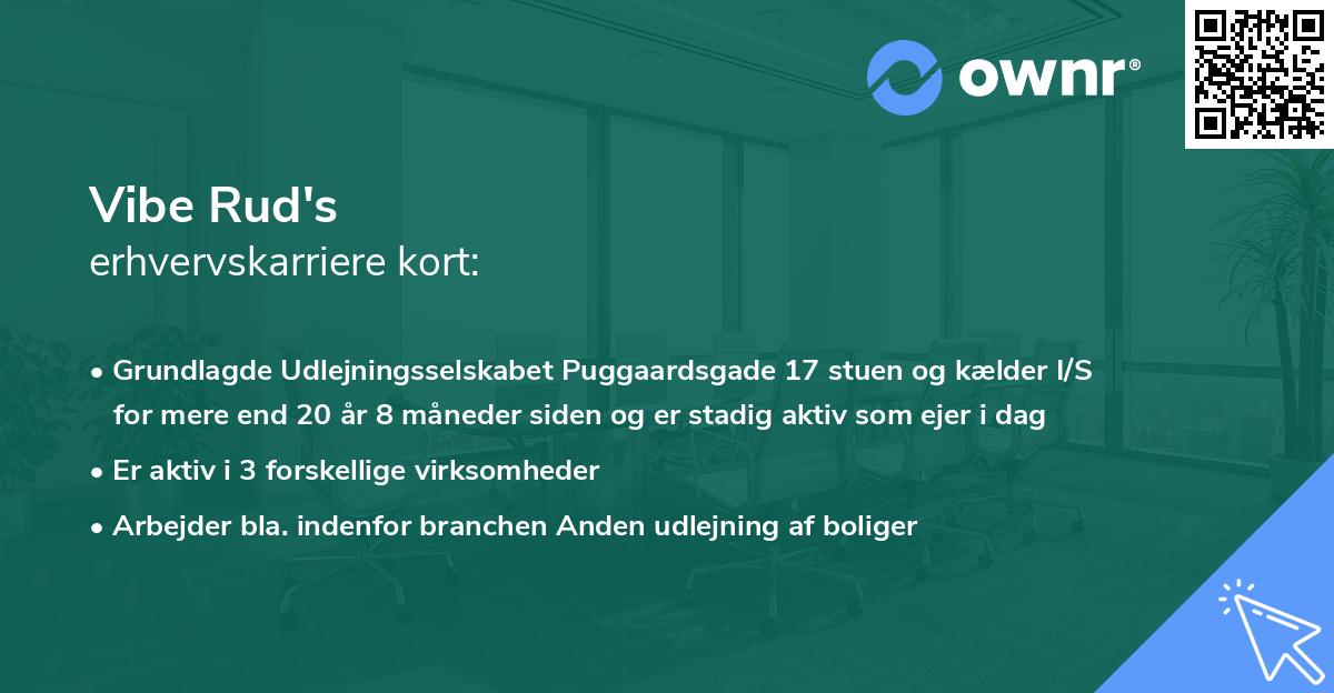 Vibe Rud's erhvervskarriere kort