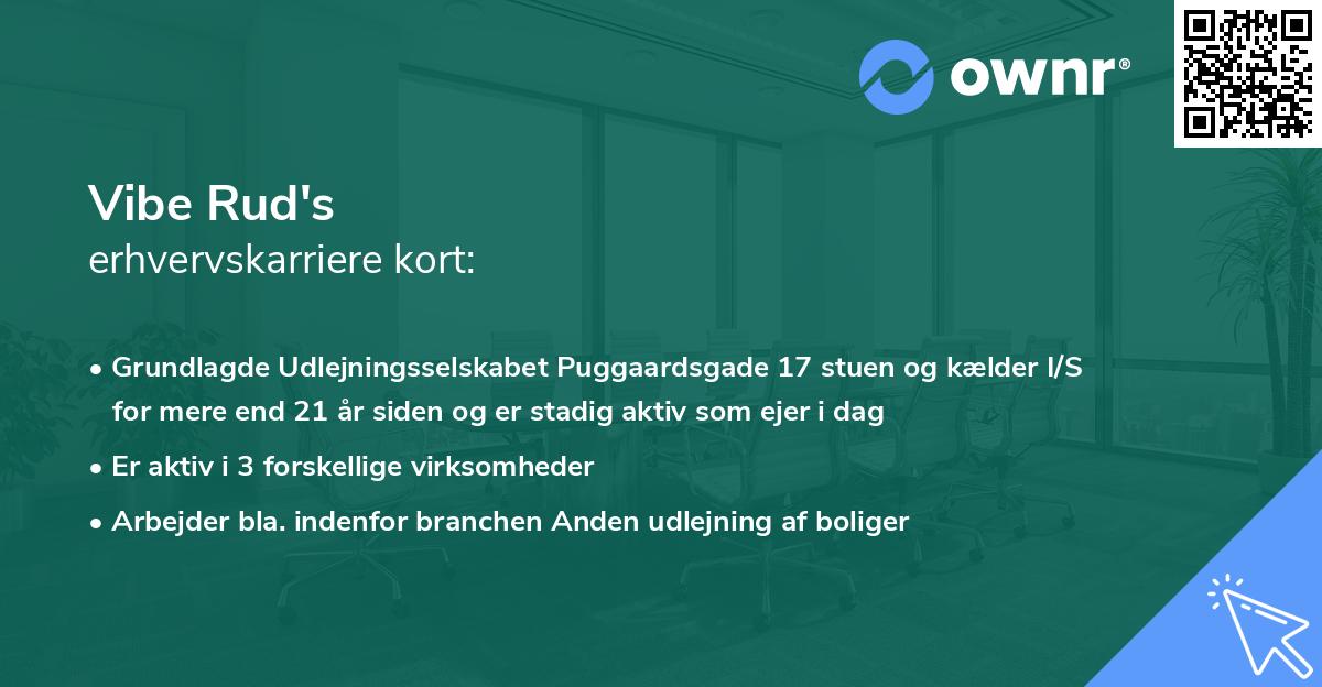 Vibe Rud's erhvervskarriere kort