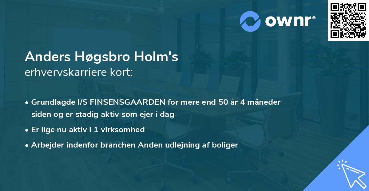 Anders Høgsbro Holm's erhvervskarriere kort