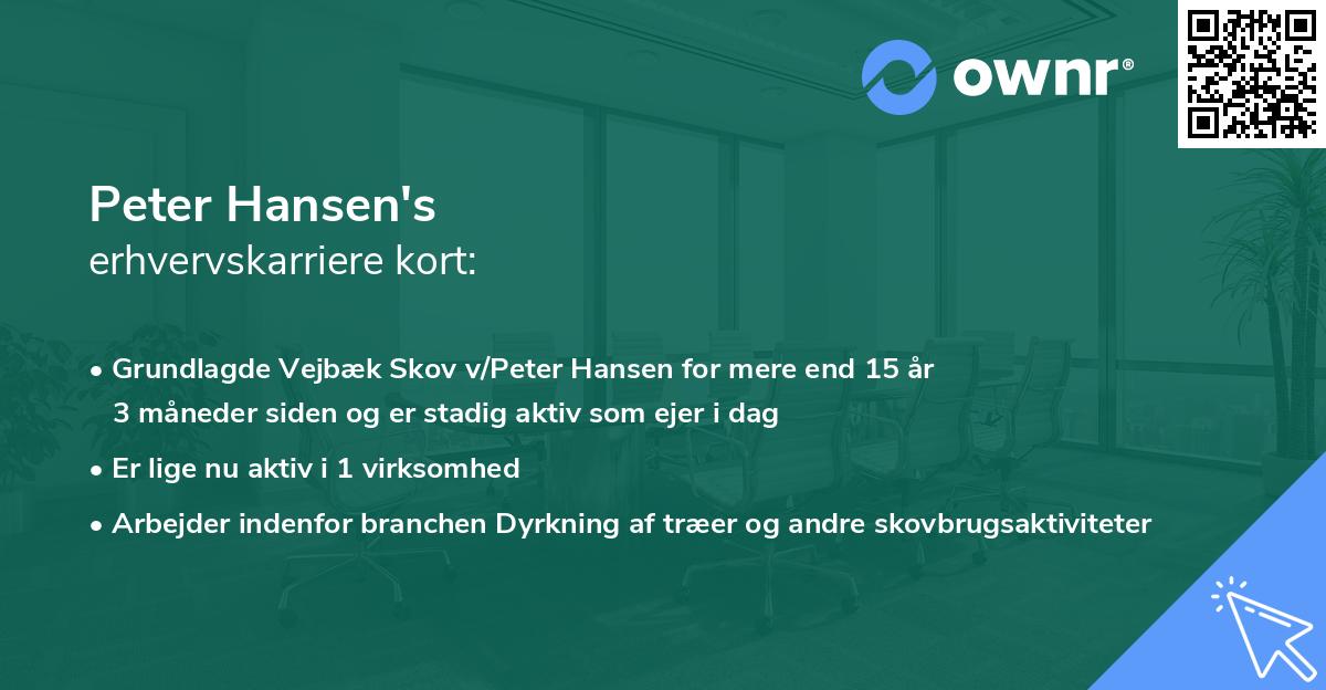 Peter Hansen's erhvervskarriere kort