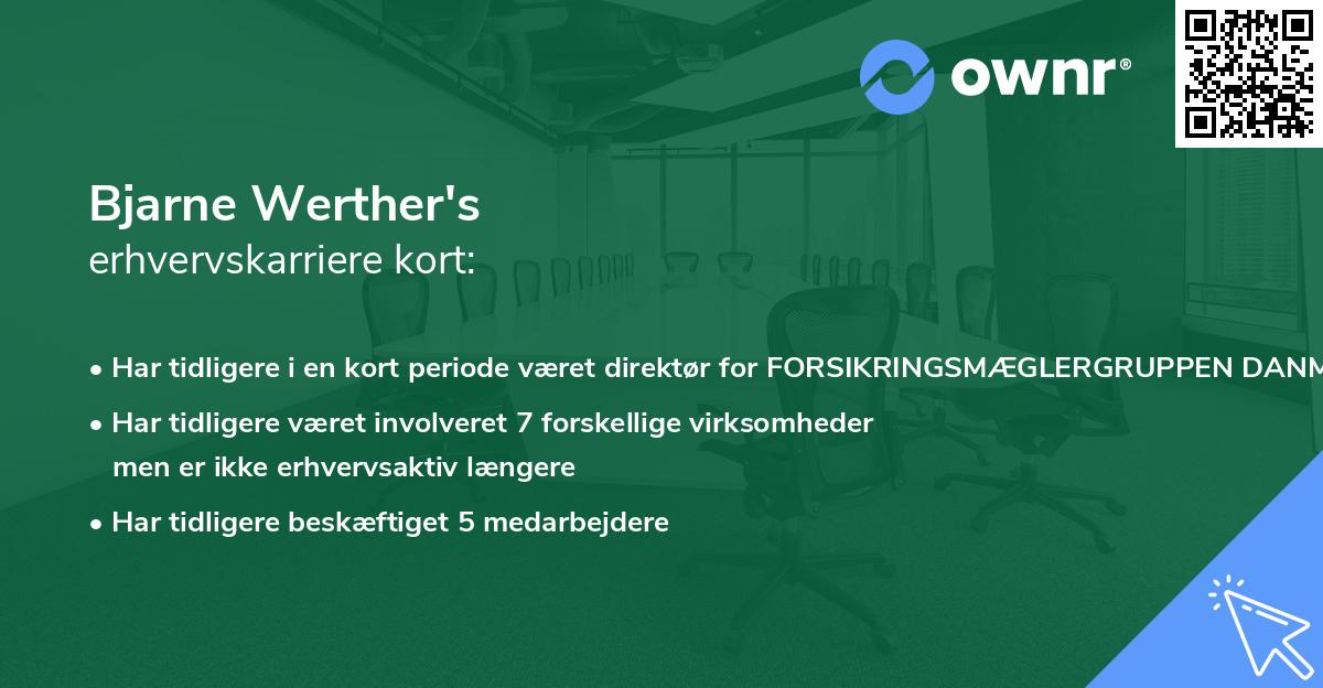 Bjarne Werther's erhvervskarriere kort