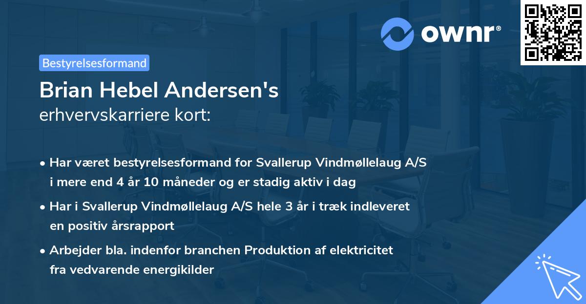 Brian Hebel Andersen's erhvervskarriere kort