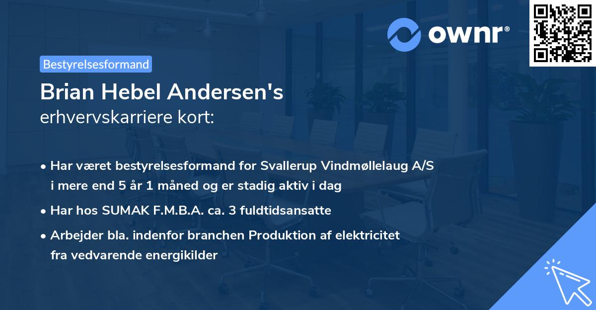 Brian Hebel Andersen's erhvervskarriere kort