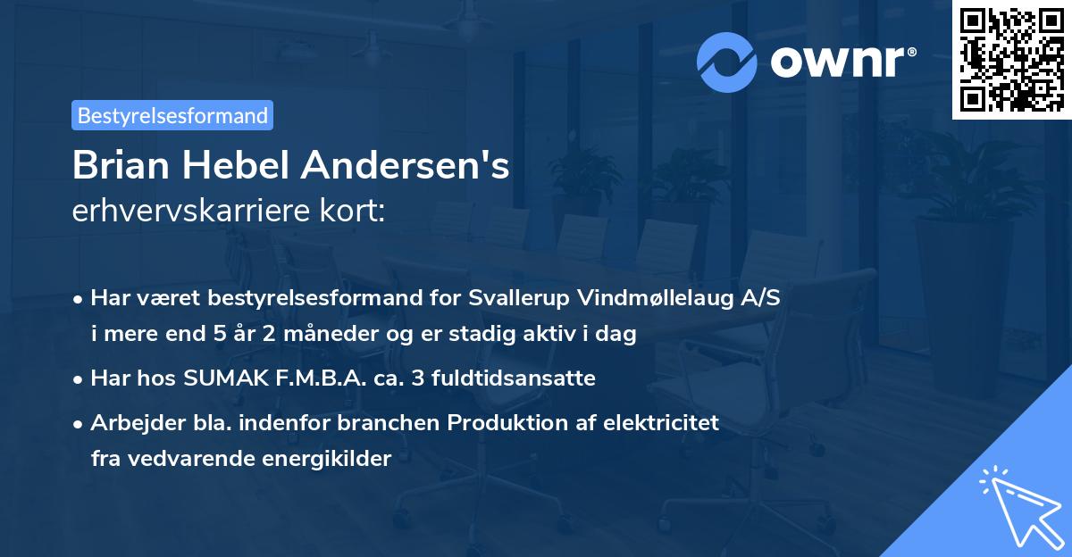 Brian Hebel Andersen's erhvervskarriere kort