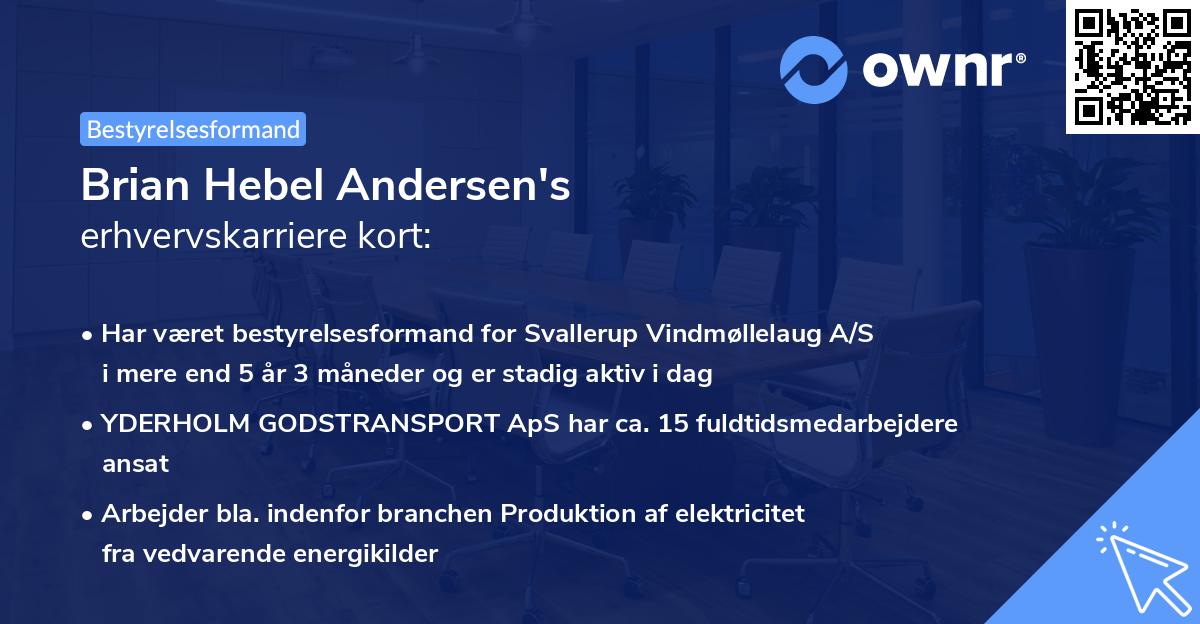 Brian Hebel Andersen's erhvervskarriere kort