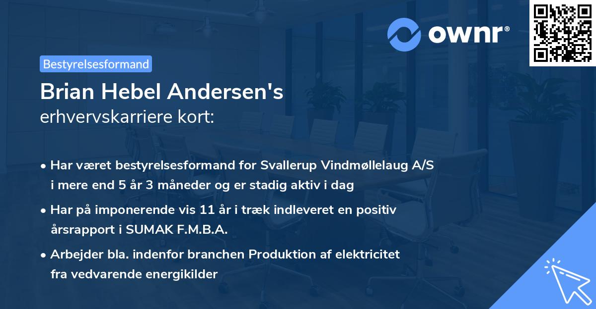Brian Hebel Andersen's erhvervskarriere kort