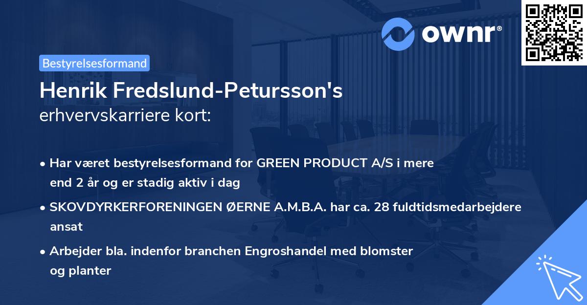 Henrik Fredslund-Petursson's erhvervskarriere kort