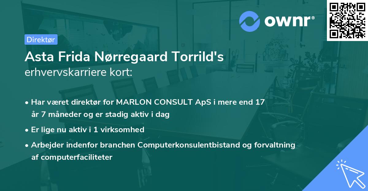 Asta Frida Nørregaard Torrild's erhvervskarriere kort