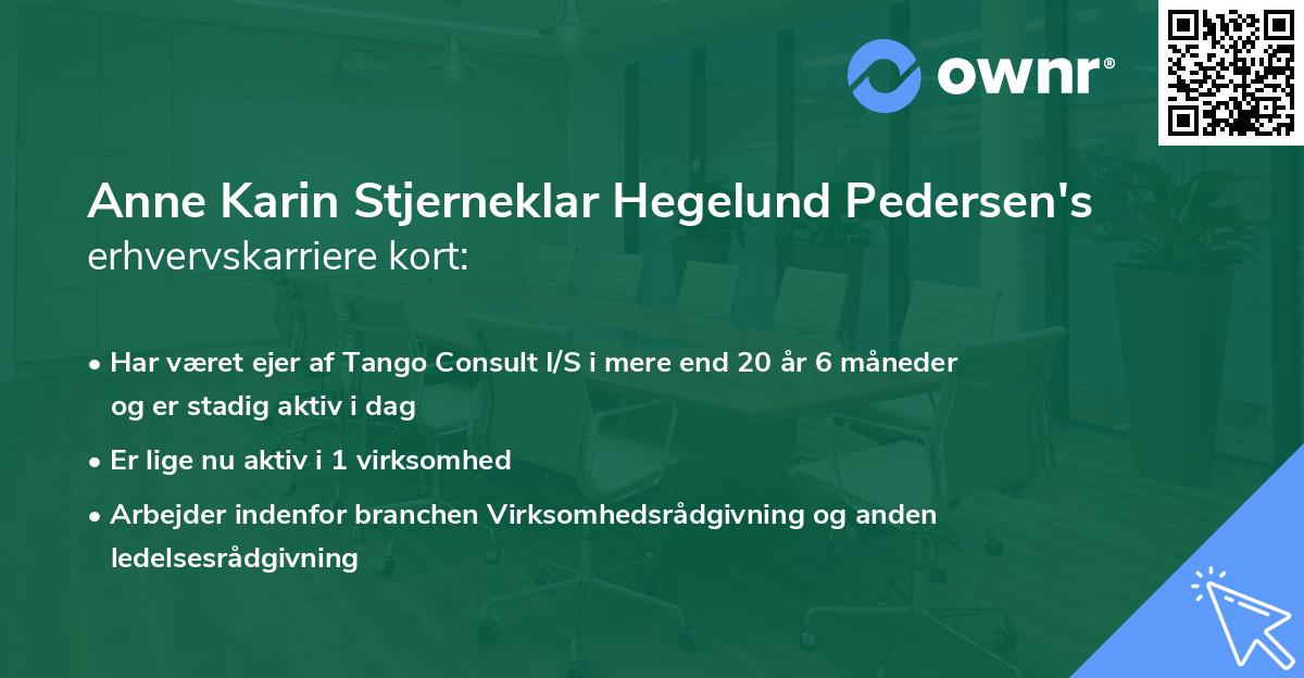 Anne Karin Stjerneklar Hegelund Pedersen's erhvervskarriere kort