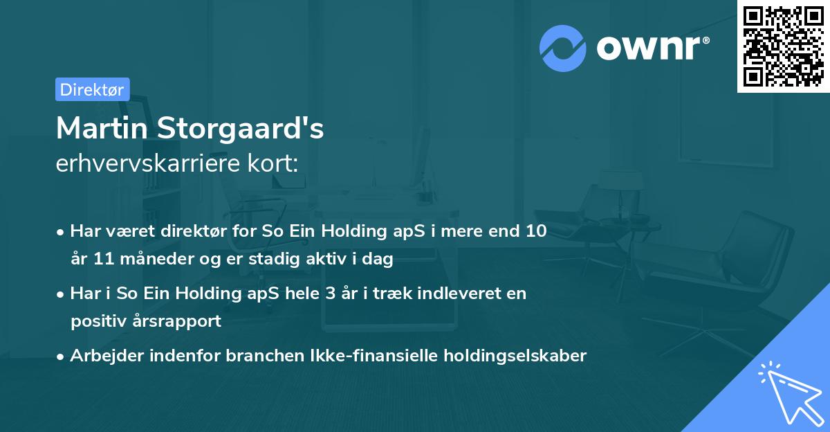 Martin Storgaard's erhvervskarriere kort