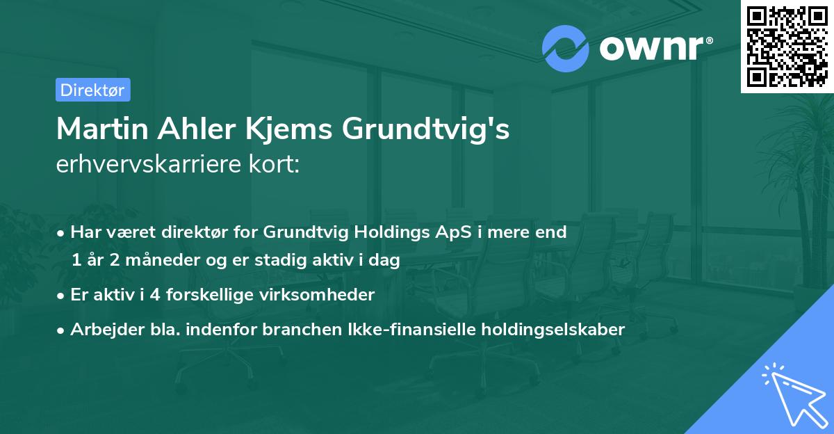Martin Ahler Kjems Grundtvig's erhvervskarriere kort