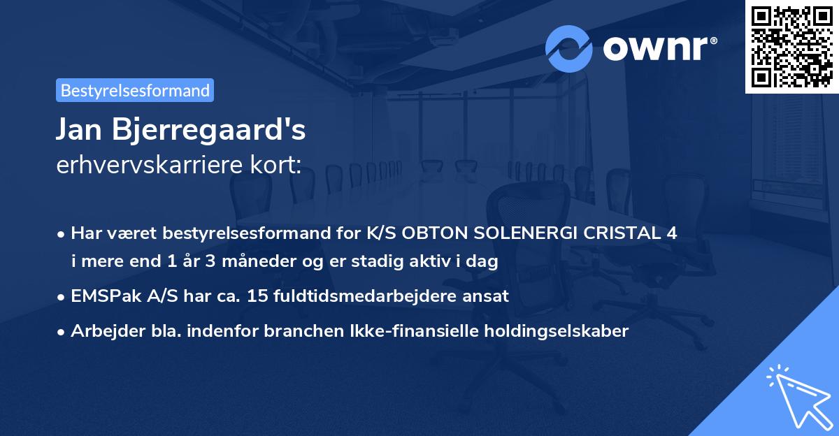 Jan Bjerregaard's erhvervskarriere kort