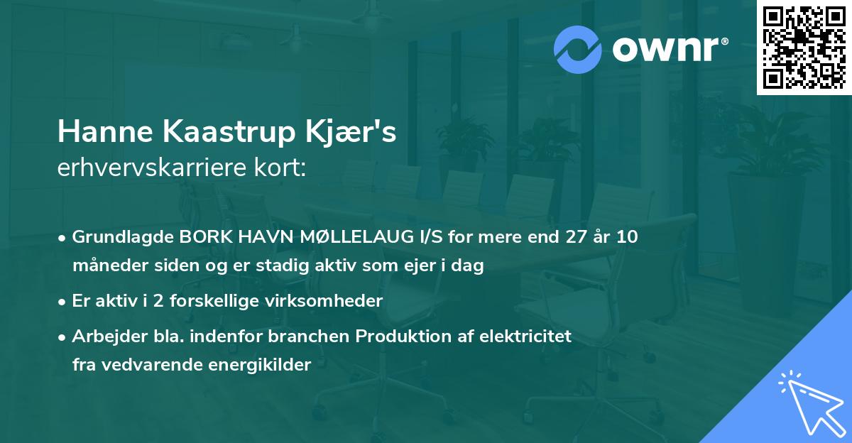 Hanne Kaastrup Kjær's erhvervskarriere kort