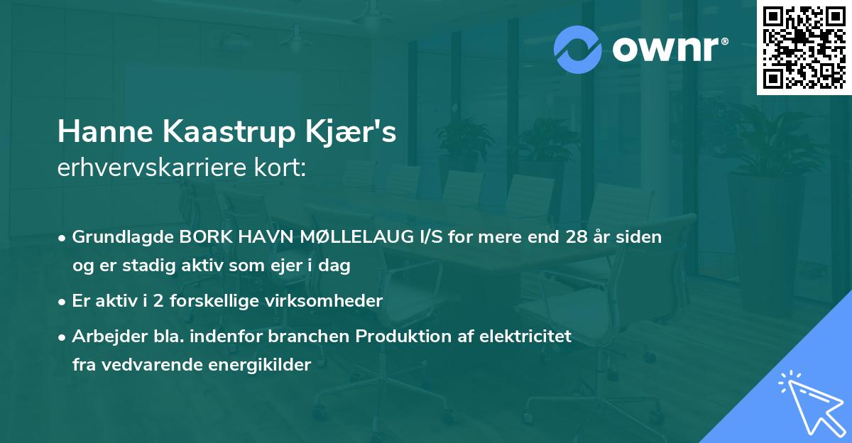 Hanne Kaastrup Kjær's erhvervskarriere kort