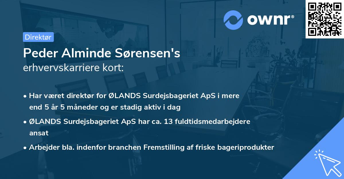 Peder Alminde Sørensen's erhvervskarriere kort