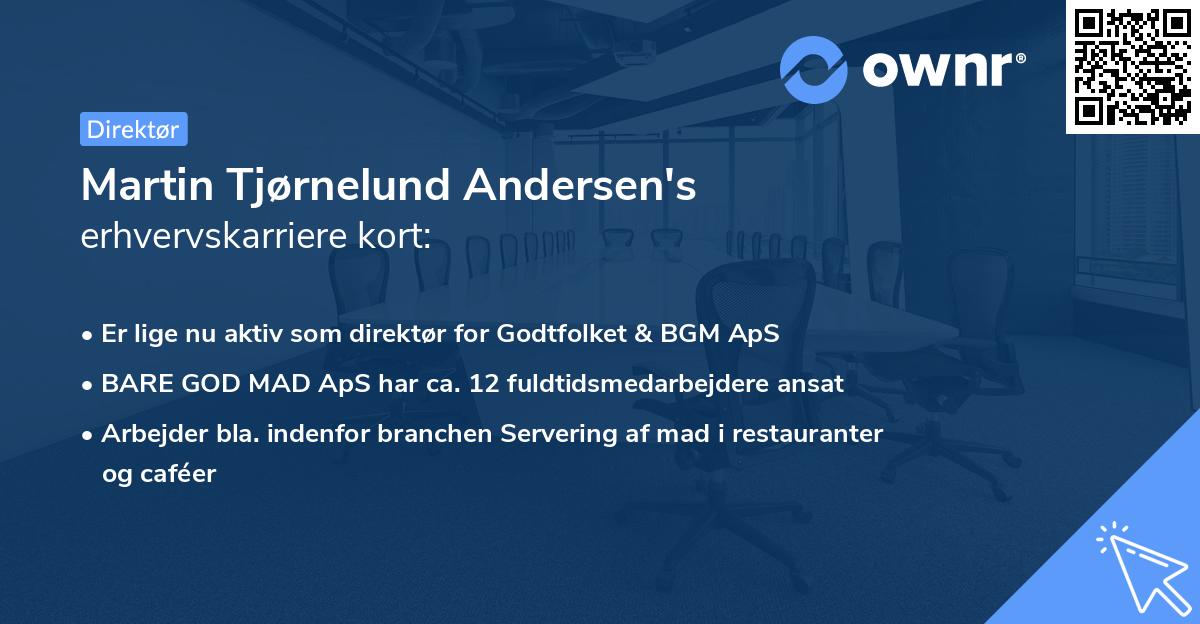 Martin Tjørnelund Andersen's erhvervskarriere kort