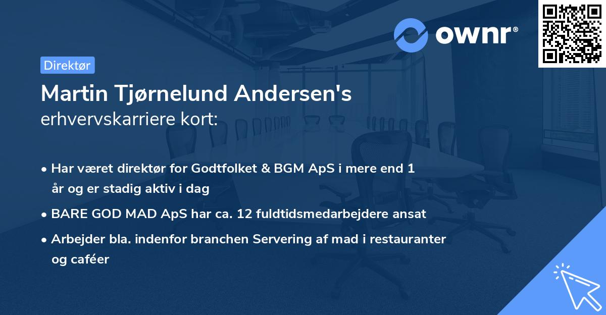 Martin Tjørnelund Andersen's erhvervskarriere kort