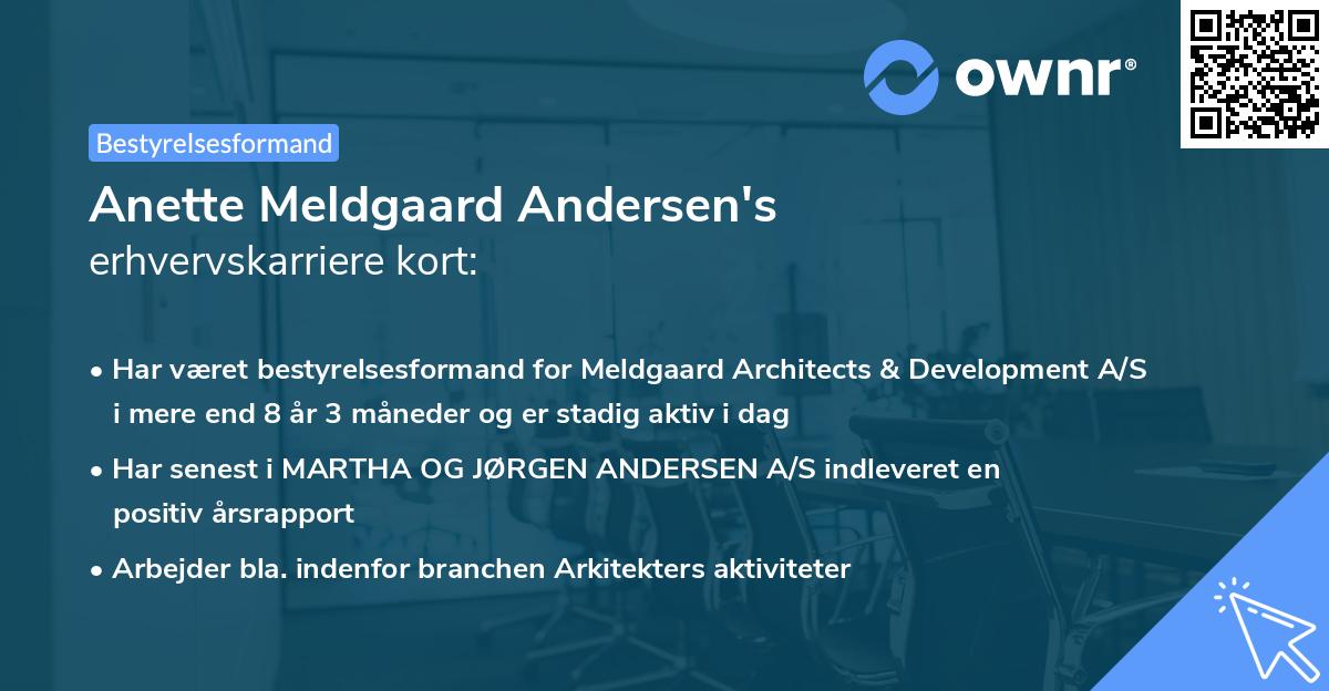 Anette Meldgaard Andersen's erhvervskarriere kort