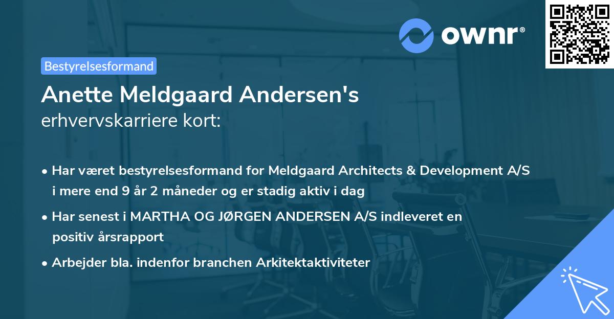 Anette Meldgaard Andersen's erhvervskarriere kort