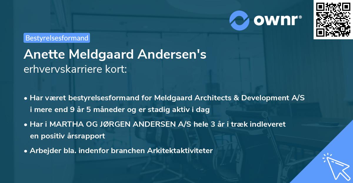 Anette Meldgaard Andersen's erhvervskarriere kort