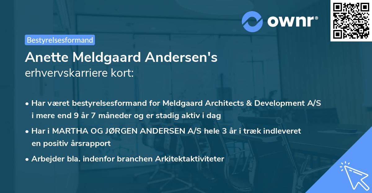 Anette Meldgaard Andersen's erhvervskarriere kort