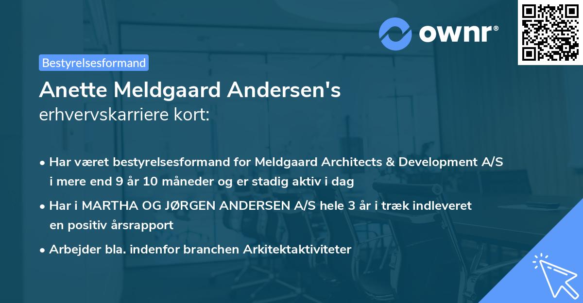 Anette Meldgaard Andersen's erhvervskarriere kort