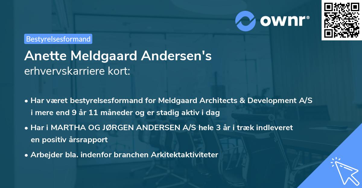 Anette Meldgaard Andersen's erhvervskarriere kort