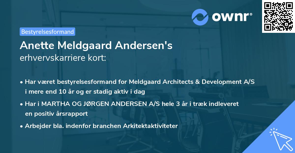 Anette Meldgaard Andersen's erhvervskarriere kort