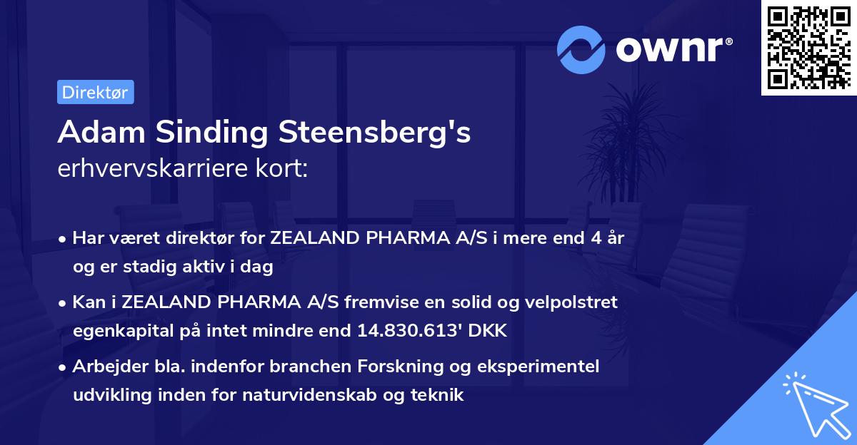 Adam Sinding Steensberg's erhvervskarriere kort